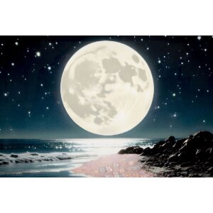 Imagine de perete Mauro Ferretti "Colors" – leină decorativă cu ramă 60x90 cm