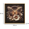 Mauro Ferretti Pictură pe pânză „Butterfly” cu LED – Ramă 50x50 cm