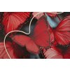 Mauro Ferretti – Imagine LED pe pânză „Butterflies” 60x90 cm cu aplicații 3D din acril
