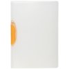 Exacompta Klemmmappe Clip Design PP Colour DIN A4 transparent farbig