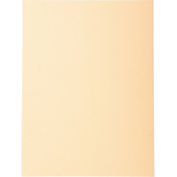 Exacompta Forever Aktendeckel 100 Stück DIN A4 Sand 250g Recyclingkarton