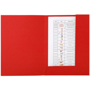 Exacompta FOREVER Aktenmappe sortiert, 24x31,5 cm, farblich sortiert