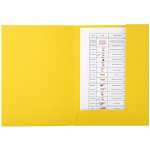 Exacompta FOREVER Aktenmappe sortiert, 24x31,5 cm, farblich sortiert