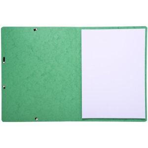 Exacompta 55413E Eckspannmappe Manila-Karton 355g DIN A4 Grün