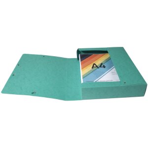 Exacompta Archivbox Exabox 60mm DIN A4 Grün mit Etikett