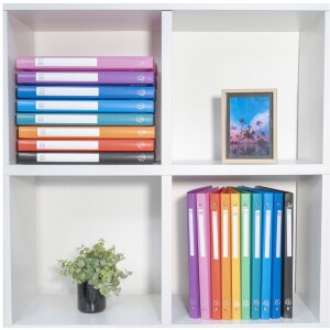 Exacompta Archivbox Rücken 25mm aus PP 700µ blickdicht DIN A4 Farben sortiert