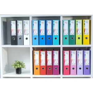 Ordner PREMTOUCH aus PP mit 2 Ringen, Rücken 80mm, DIN A4 Überbreite Hellgrün