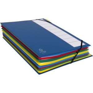 Ordnungsmappe 12 Fächer, Ordonator, für Format DIN A4