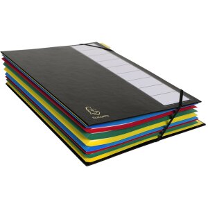 Ordnungsmappe 12 Fächer, Ordonator, für Format DIN A4