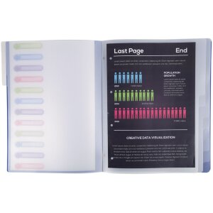 Exacompta Eckspann-Ordnungsmappe mit Gummizug und 3 Klappen A4 Farben sortiert