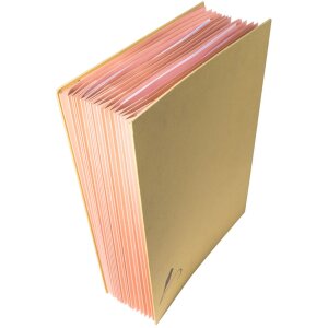 Exacompta Unterschriftenmappe 22209E 20 Fächer Kraft...