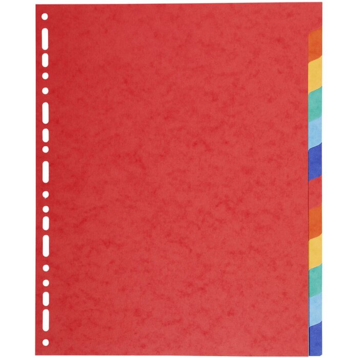 Exacompta 2112E Nature Future Register DIN A4 12 Taben Manila Karton 220g