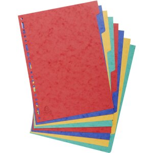 Exacompta 1408E Nature Future Register DIN A4 mit 8...