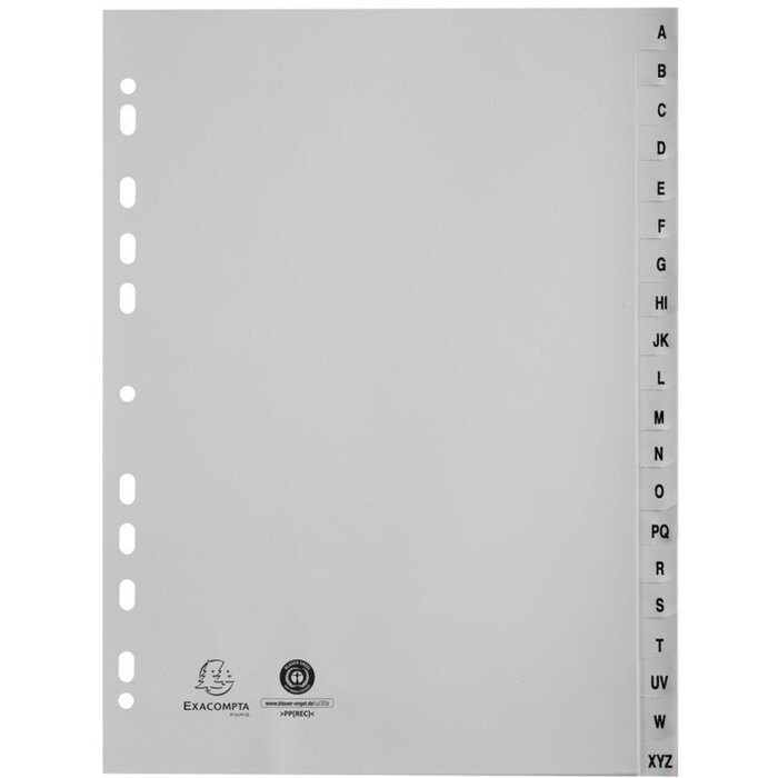 Exacompta 1720E Register DIN A4 mit 20 Taben, weiß, groß