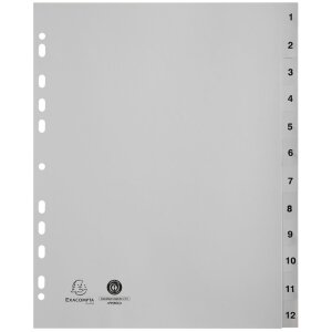 Register DIN A4 mit 12 Taben