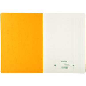 Exacompta Geschäftsbuch A4 2 Betragspalten 40 Blatt mattgrün