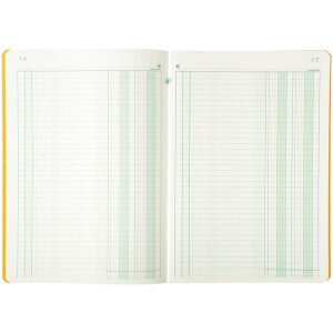 Exacompta Geschäftsbuch A4 2 Betragspalten 40 Blatt mattgrün