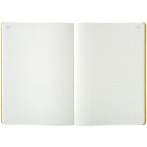 Exacompta Geschäftsbuch A4 80 Seiten kariert 5 mm 110 g/m² farbig sortiert