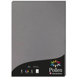Clairefontaine Pollen Papier DIN A4 120g 50 Blatt Dunkelgrau