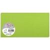 Clairefontaine Pollen Karten DL 106x213 mm 210g Minze Packung 25 Stück
