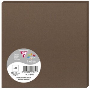 Pack 25 Karten Pollen 135x135 mm braun