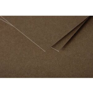 Pack 25 Karten Pollen 135x135 mm braun