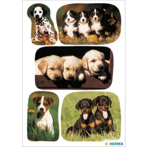 HERMA Sticker bezaubernde Hundewelpen verschiedene Rassen...