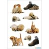 HERMA Sticker Süße DECOR Hundewelpen Katzen 9x16 3 cm selbstklebend