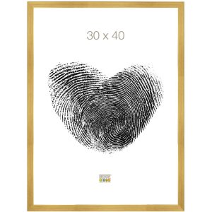 Holzrahmen S41J Deknudt 30x40 cm gold
