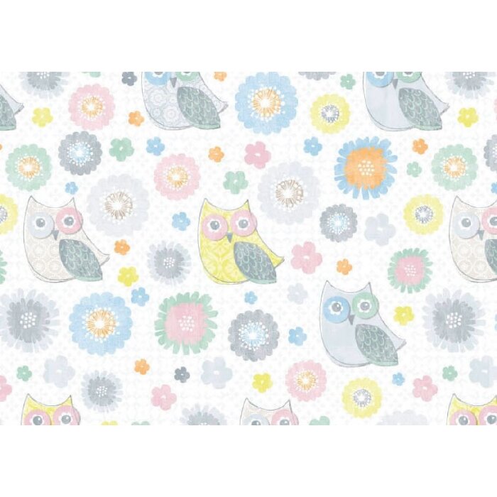 Artebene Papierbogen 50x70 cm Eule 80g Bastelpapier