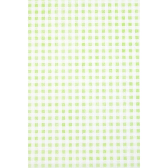 Artebene Papierbogen 70x100 cm Vliespapier Vichy lime 80 g/m²