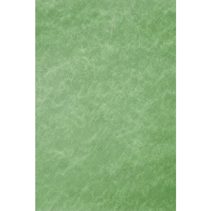 Artebene Papier 70x100 cm Vlies Silberfäden grün